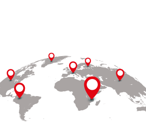 Over 300+ showrooms worldwide